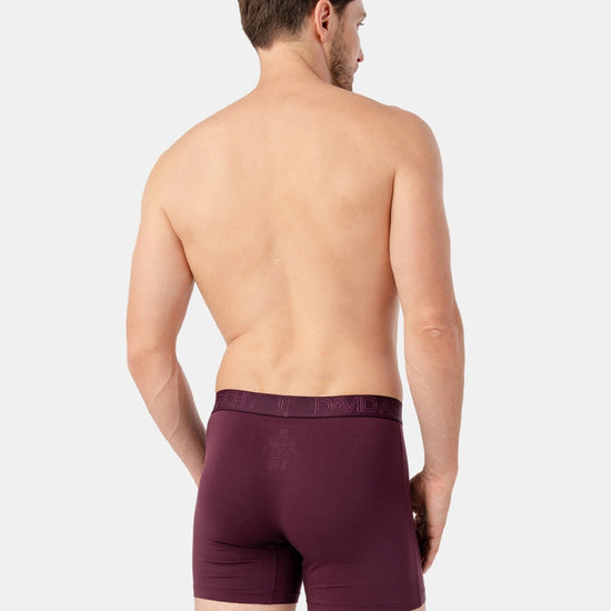 3D Ondersteuningszakje DAVID ARCHY Performance Boxershorts Heren 3-pack - Bamboerayon, & Geen Oprij-Design Ademend Sportondergoed 3D Ondersteuningszakje DAVID ARCHY Performance Boxershorts Heren 3-pack - Bamboerayon, & Geen Oprij-Design Ademend Sportondergoed