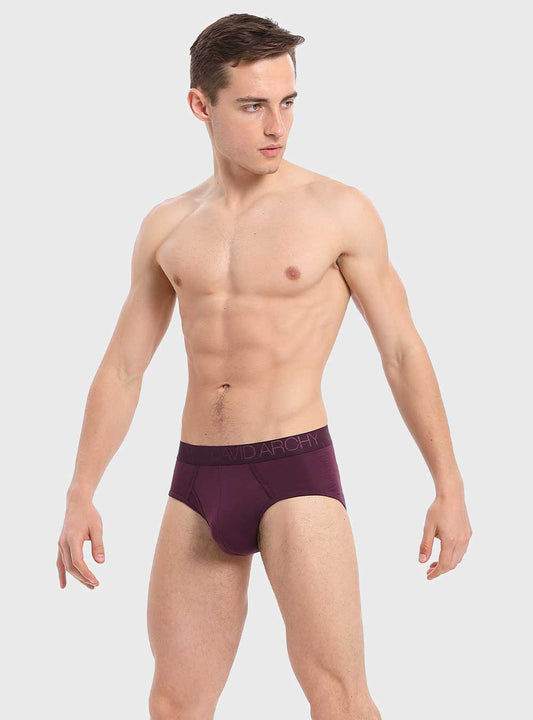 4 Packs Lightweight Brief Underwears