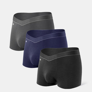 Buy DAVID ARCHY Men's Underwear Ultra Soft Micro Modal Trunks Boxer Briefs  with Fly Boxer Shorts Online at desertcartSeychelles